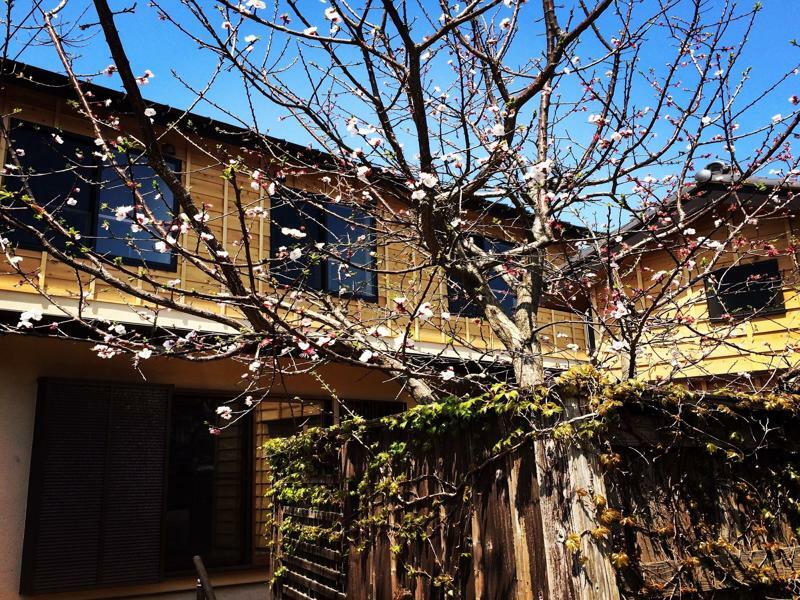 Guest House Kamakura Zen-Ji מראה חיצוני תמונה